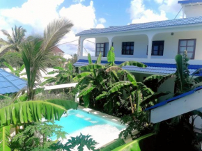 Moja Luxury Apartment Makunduchi